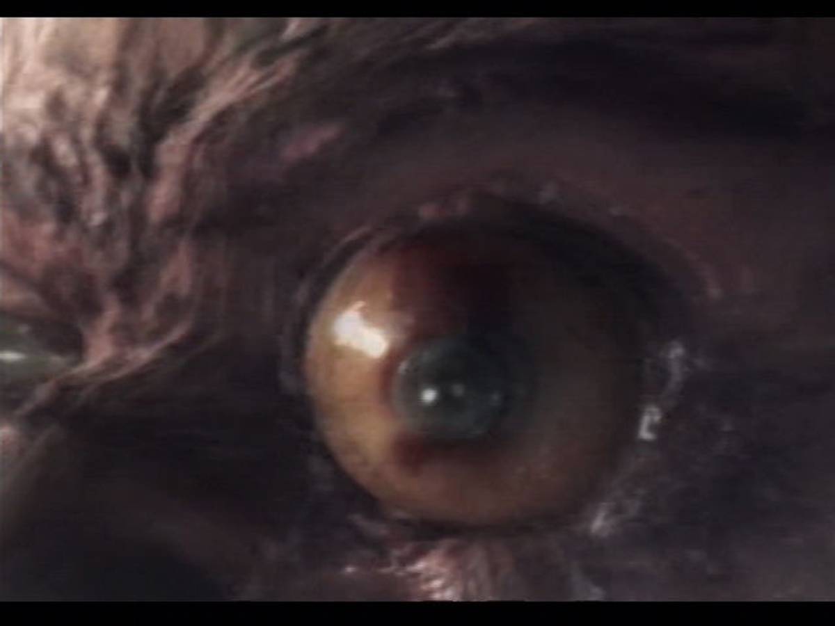 Altered Beast ISO - PS2 screenshot 6