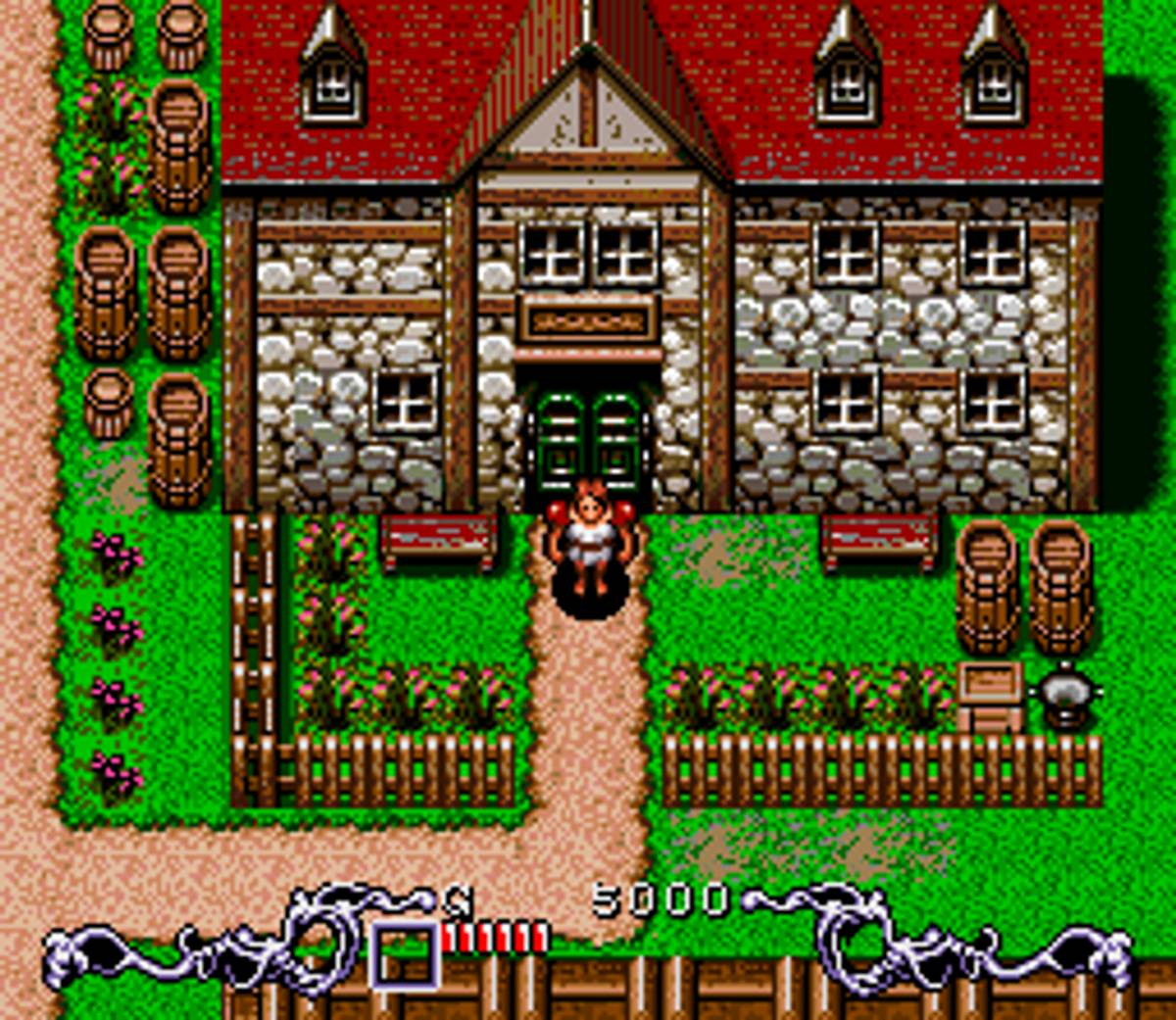 Brain Lord ROM - SNES screenshot 8
