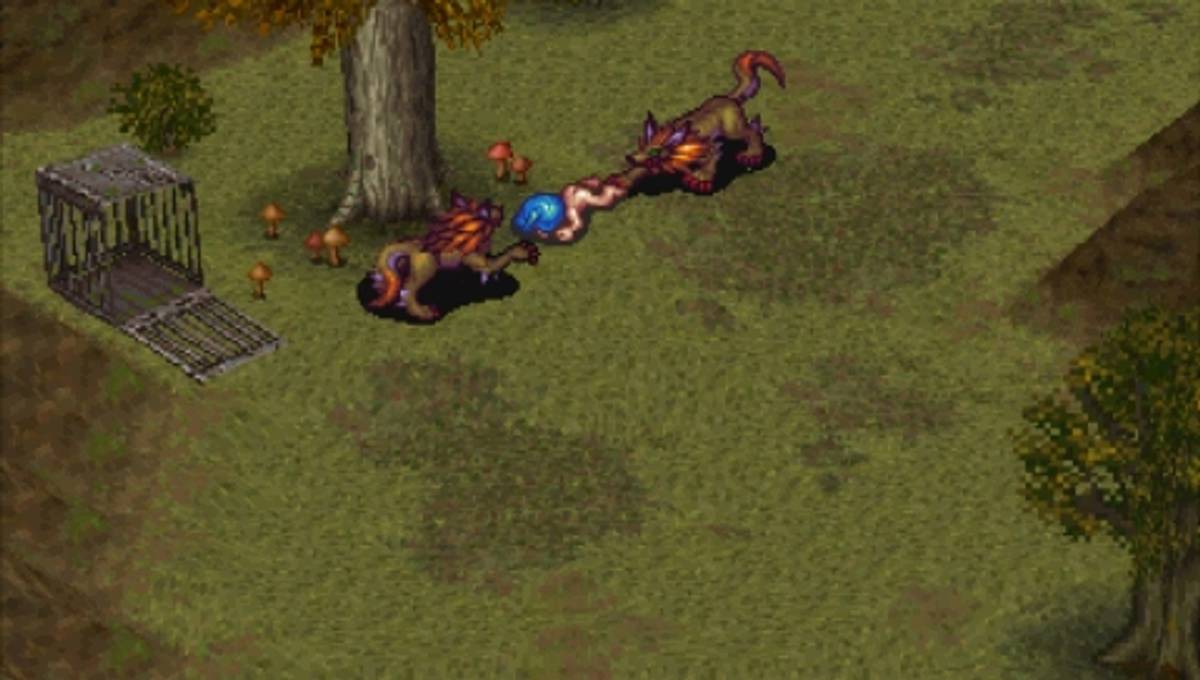 Breath of Fire III ISO - PSP screenshot 10