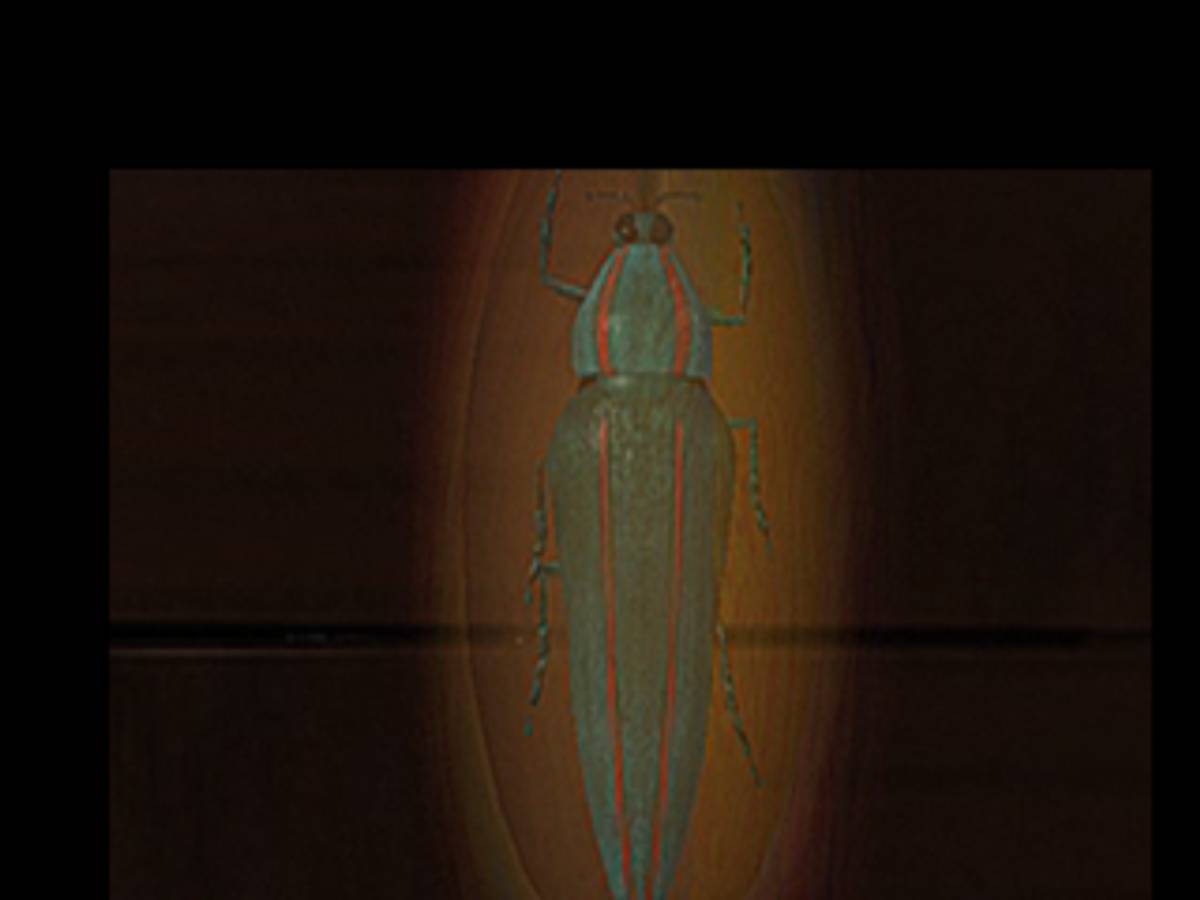 D ISO - PS1 screenshot 8