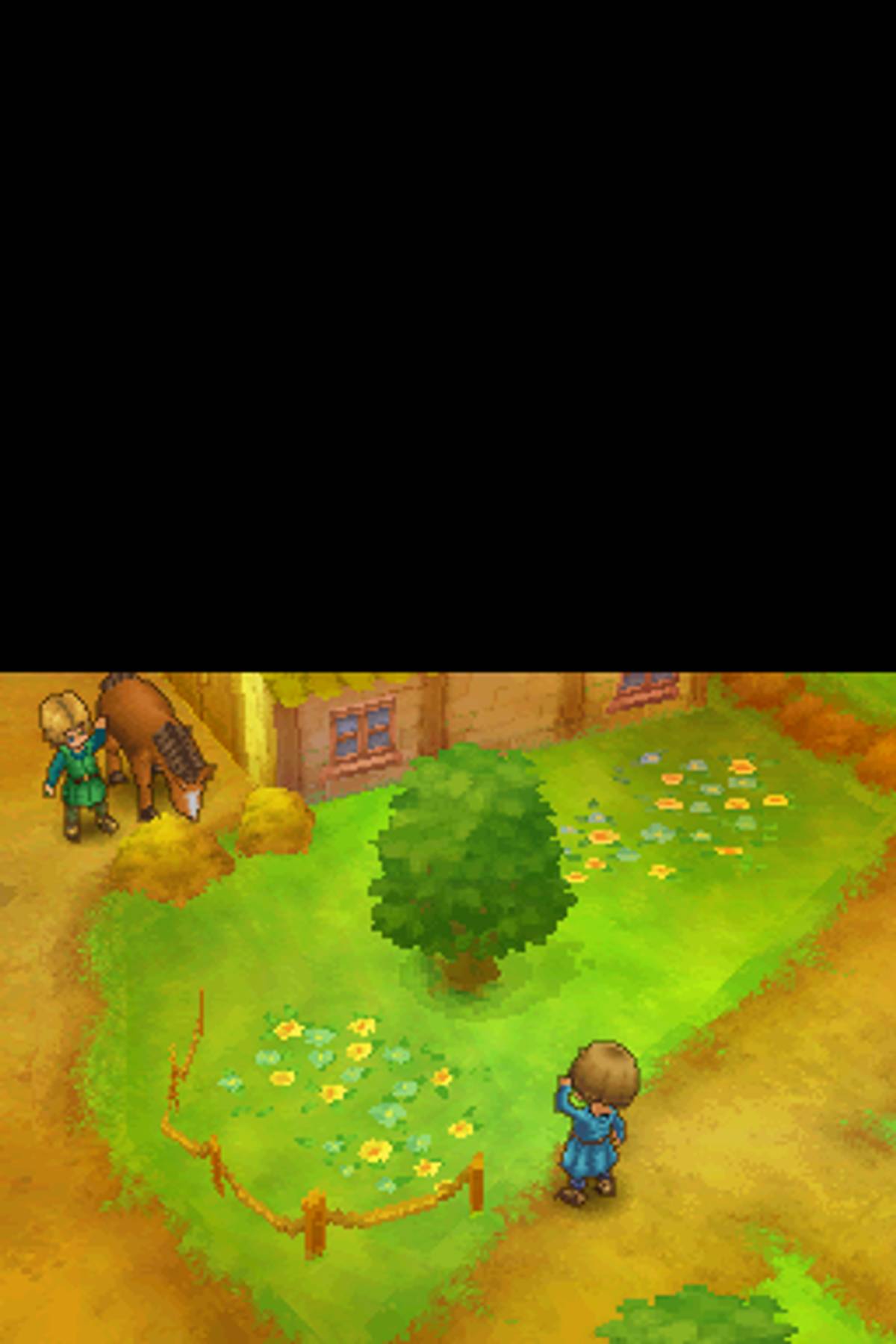 Dragon Quest IX: Sentinels of the Starry Skies ROM - NDS screenshot 7