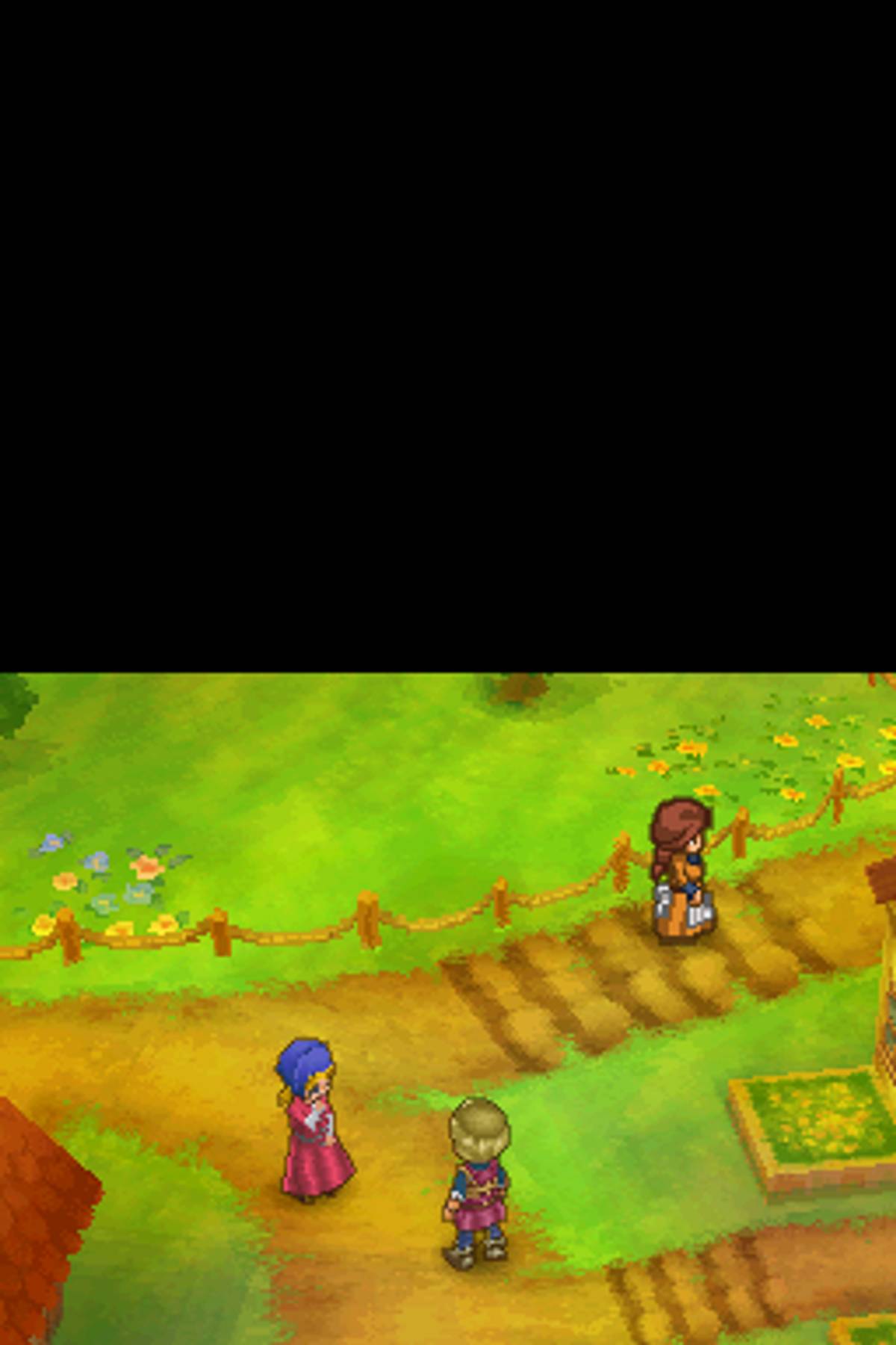 Dragon Quest IX: Sentinels of the Starry Skies ROM - NDS screenshot 8