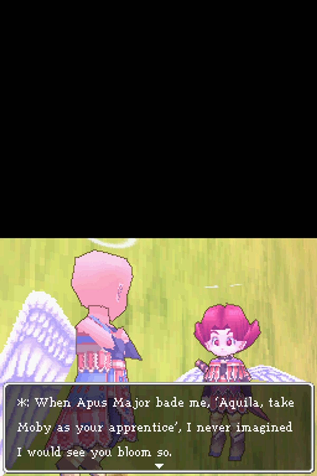 Dragon Quest IX: Sentinels of the Starry Skies ROM - NDS screenshot 9