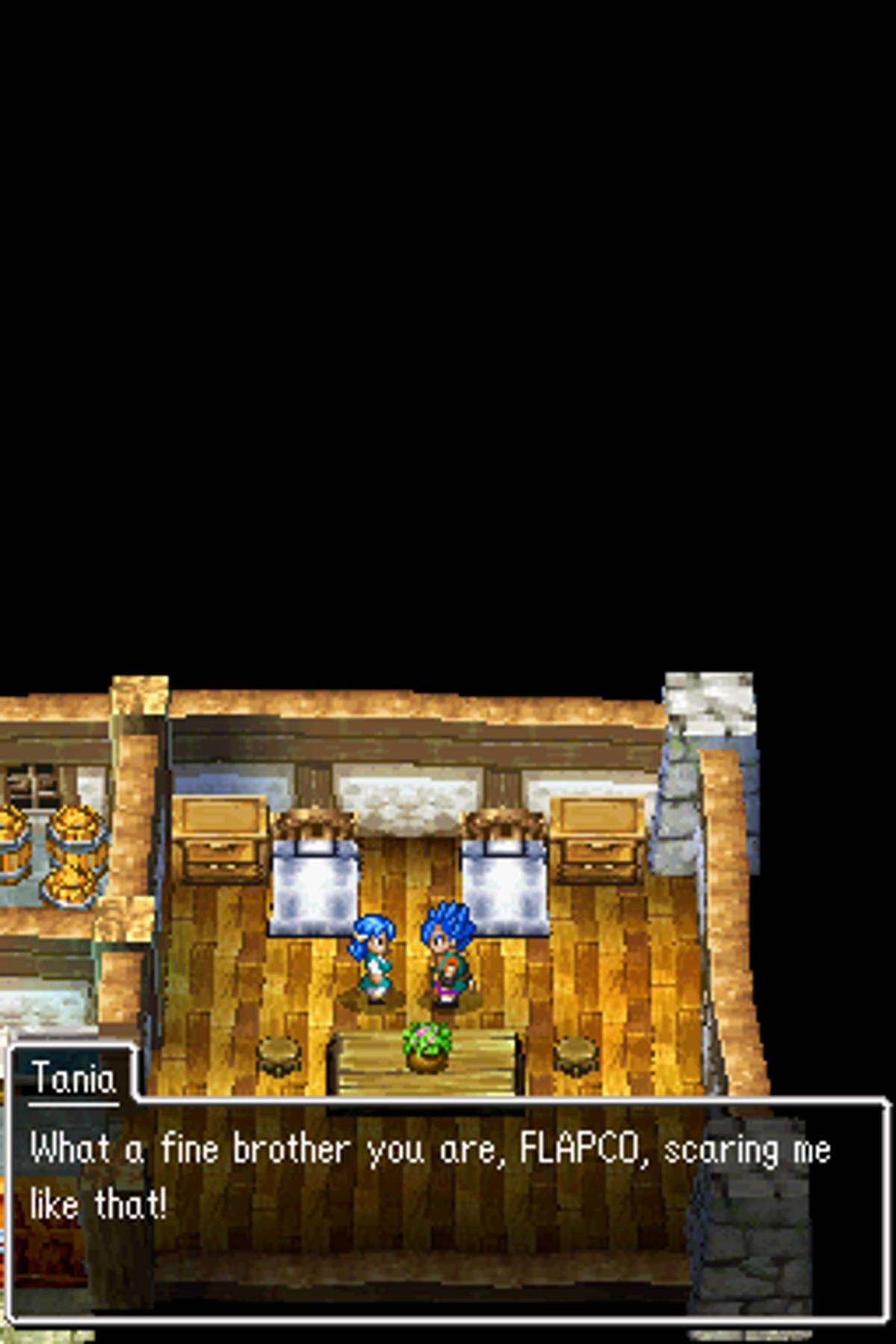 Dragon Quest VI: Realms of Revelation ROM - NDS screenshot 9