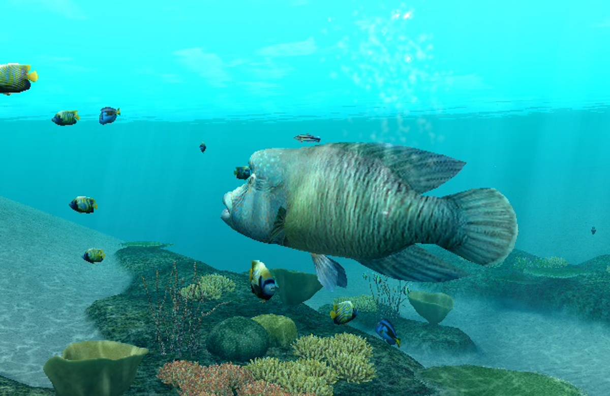 Endless Ocean: Blue World ISO - Wii screenshot 1