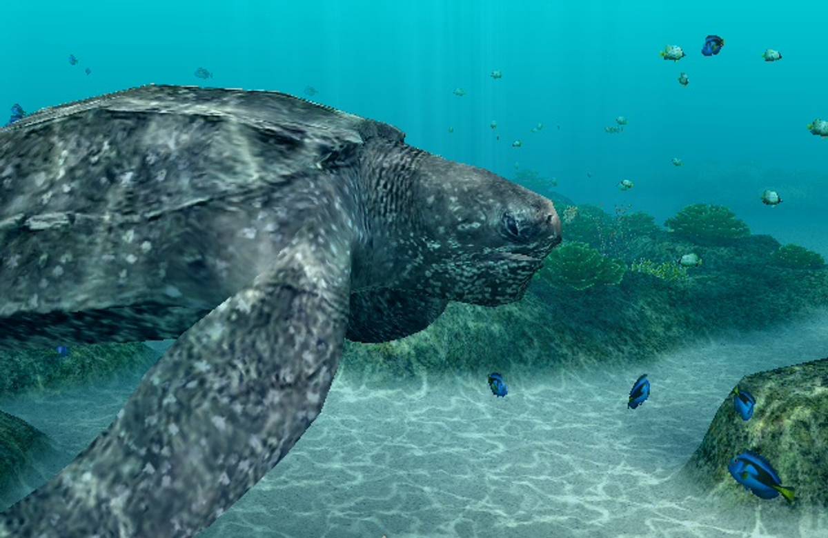 Endless Ocean: Blue World ISO - Wii screenshot 2
