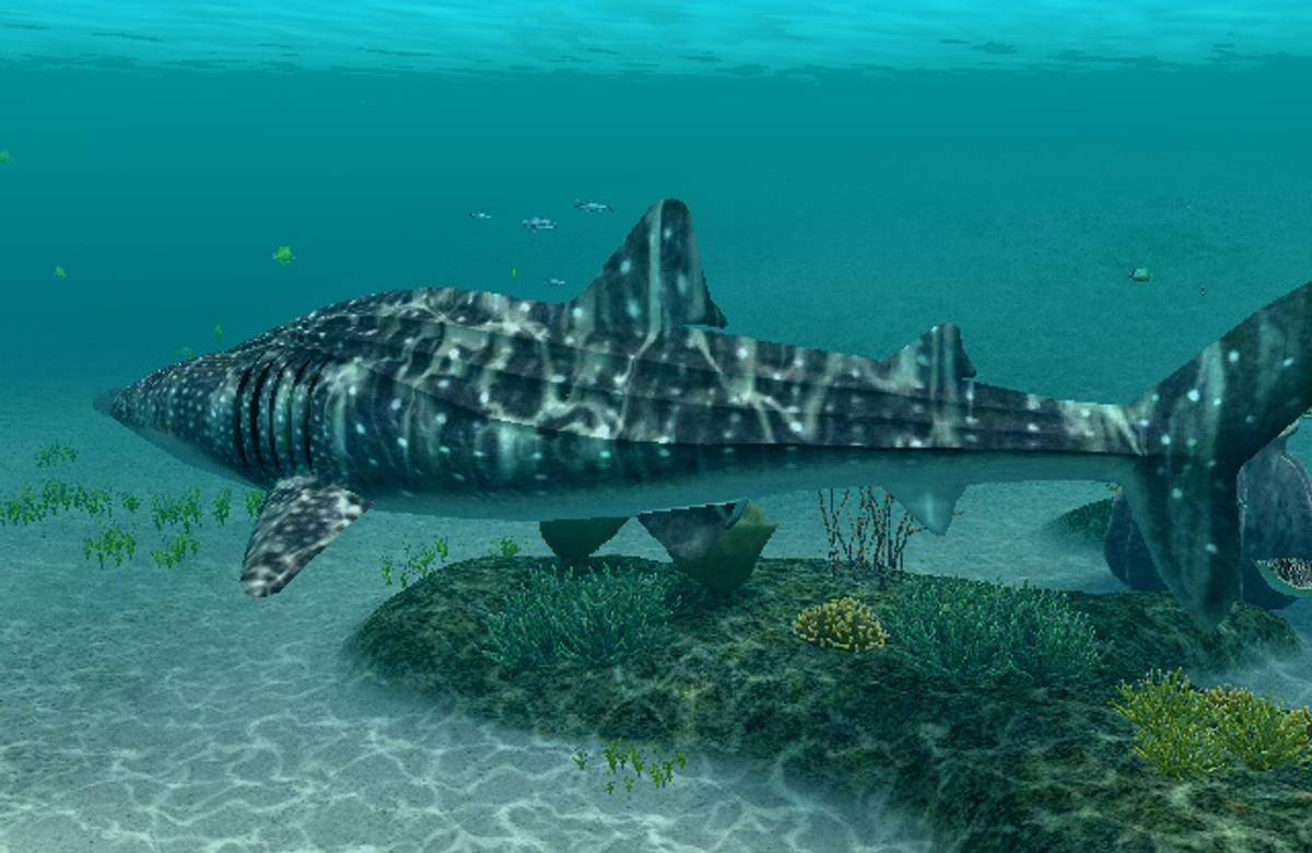 Endless Ocean: Blue World ISO - Wii screenshot 3