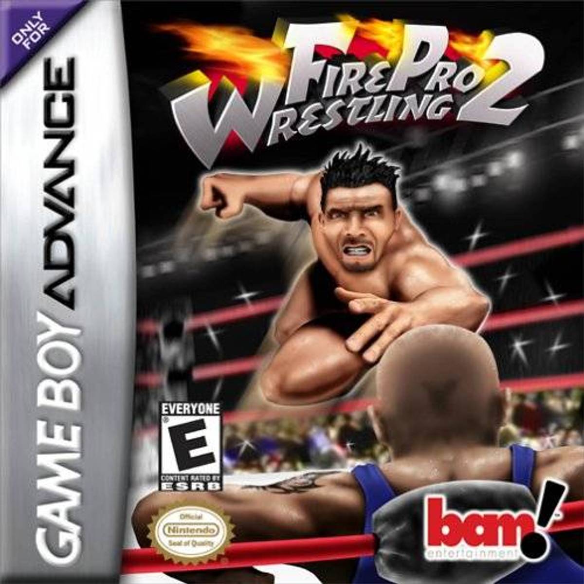 Download Torrent Fire Pro Wrestling 2 ROM – GBA