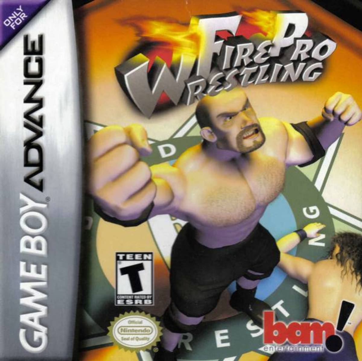 Download Torrent Fire Pro Wrestling ROM – GBA