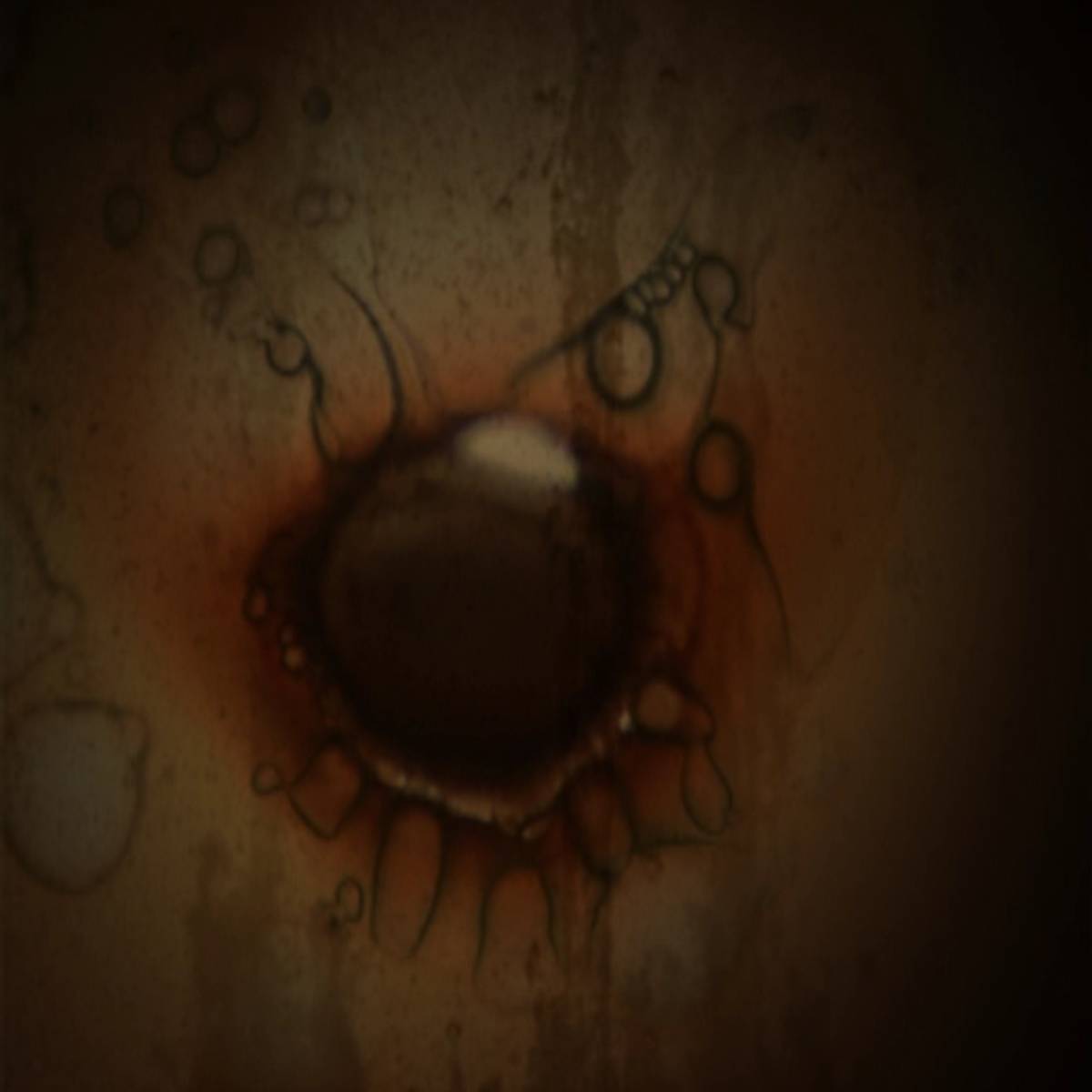 Forbidden Siren 2 ISO - PS2 screenshot 1
