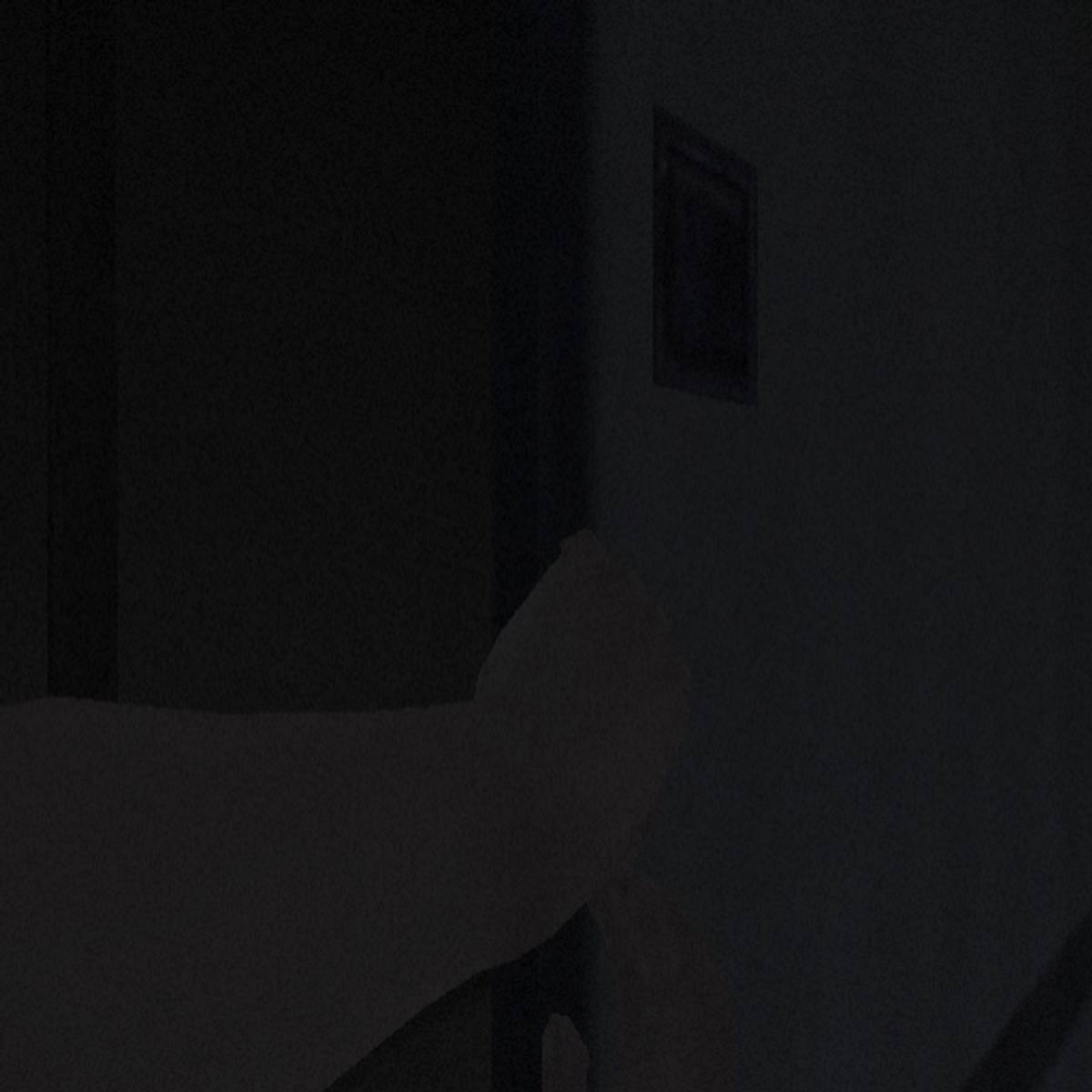 Forbidden Siren 2 ISO - PS2 screenshot 9