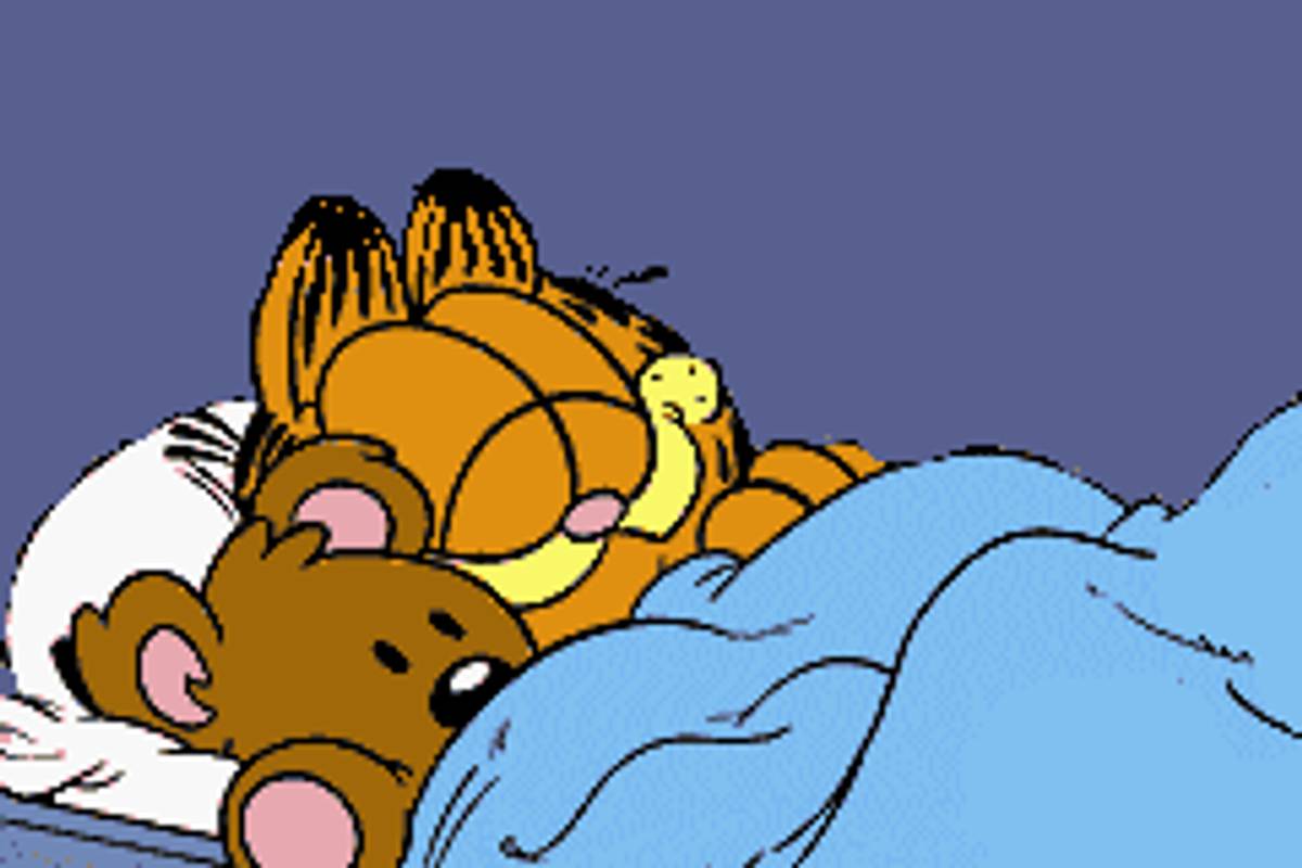 Garfield: The Search for Pooky ROM - GBA screenshot 2