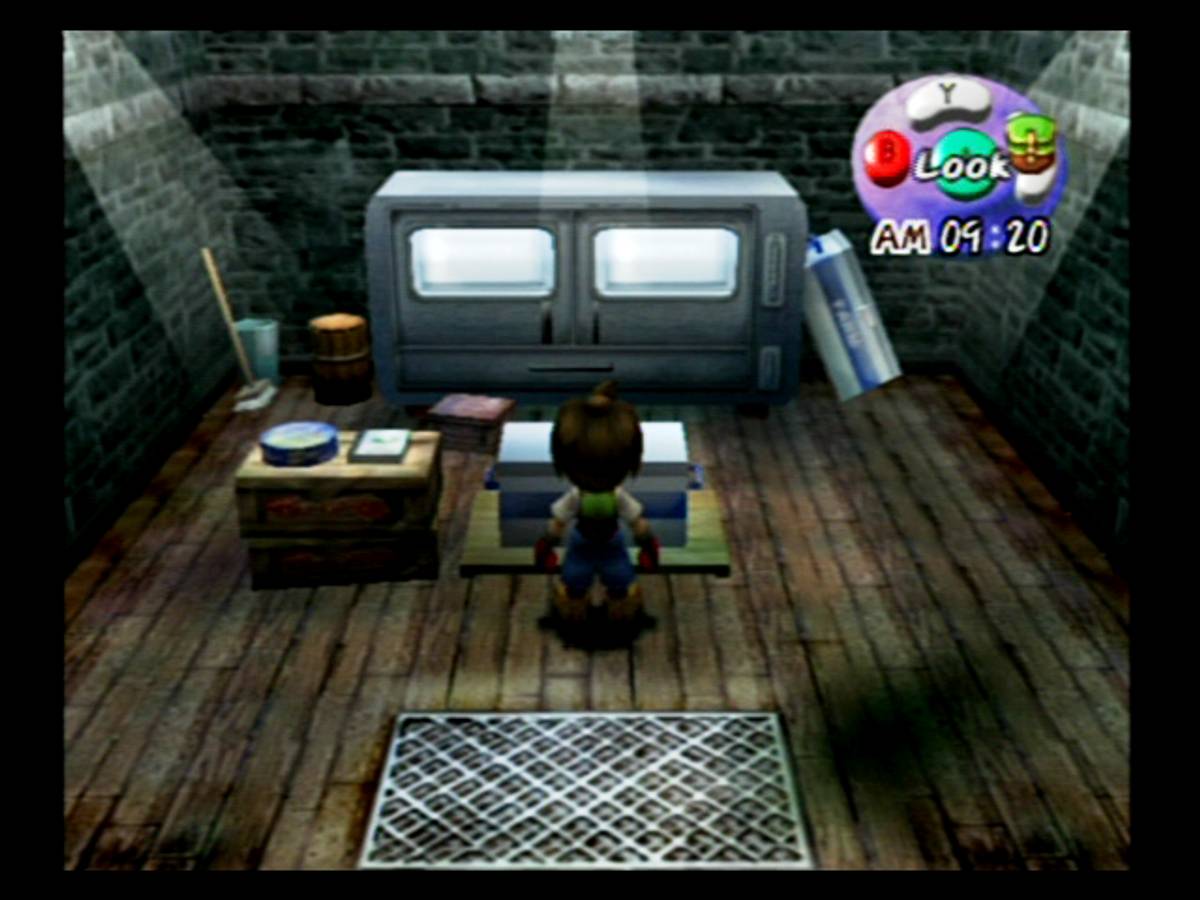 Harvest Moon: A Wonderful Life ISO - GameCube screenshot 10