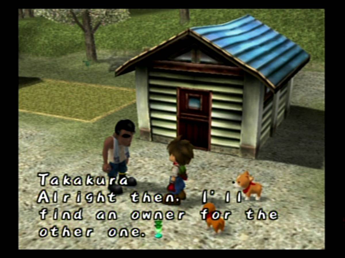 Harvest Moon: A Wonderful Life ISO - GameCube screenshot 4