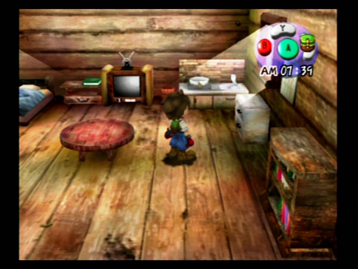 Harvest Moon: A Wonderful Life ISO - GameCube screenshot 9