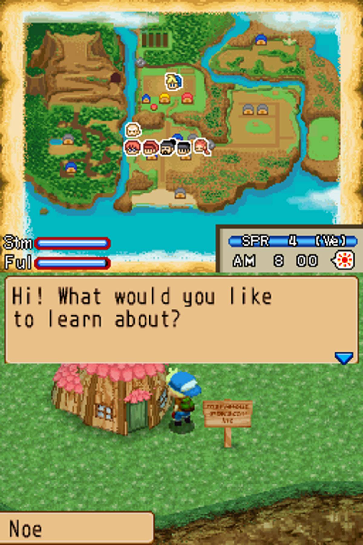 Harvest Moon DS: Island of Happiness ROM - NDS screenshot 3