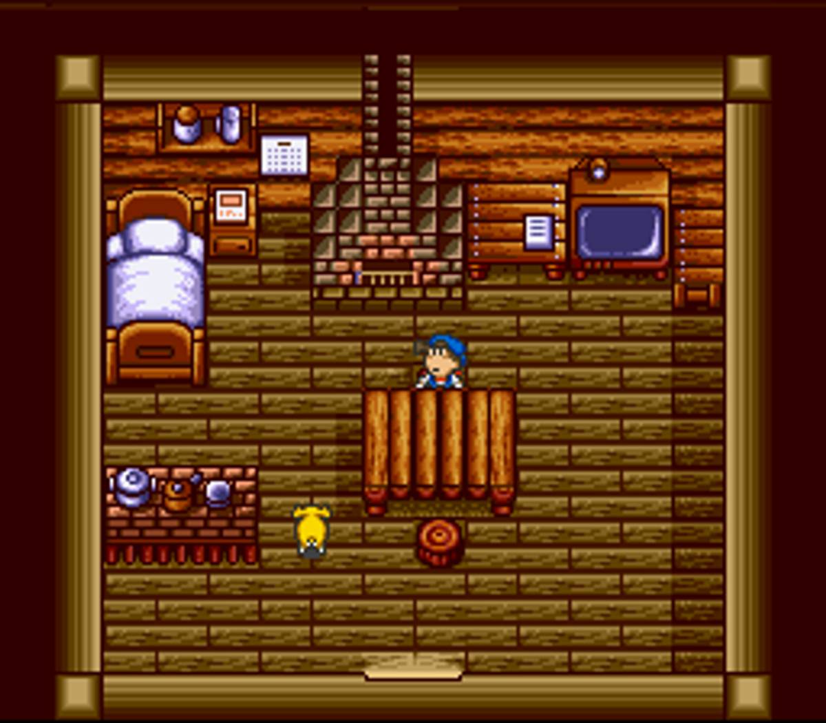 Harvest Moon ROM - SNES screenshot 10