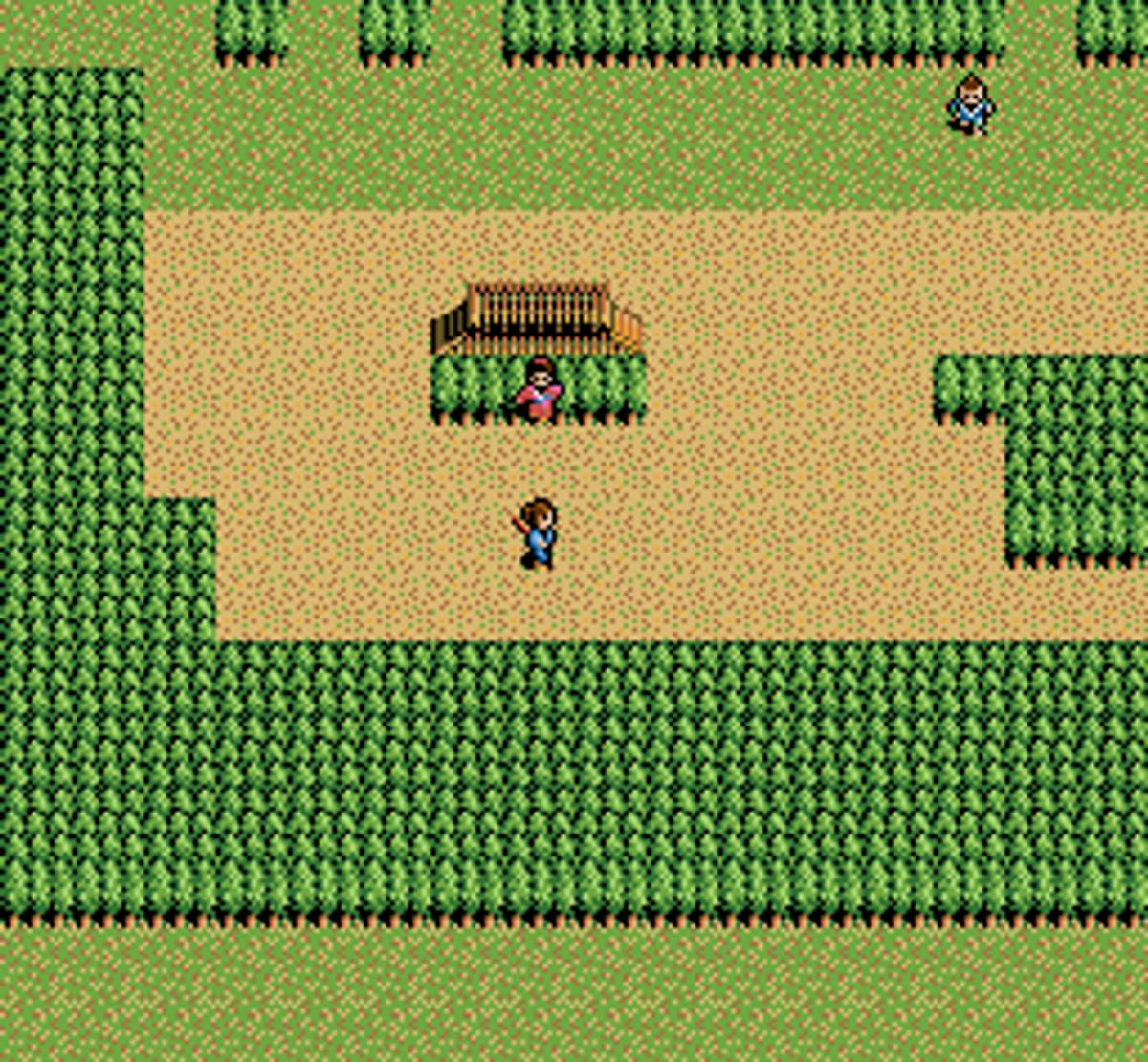 Inindo: Way of the Ninja ROM - SNES screenshot 6