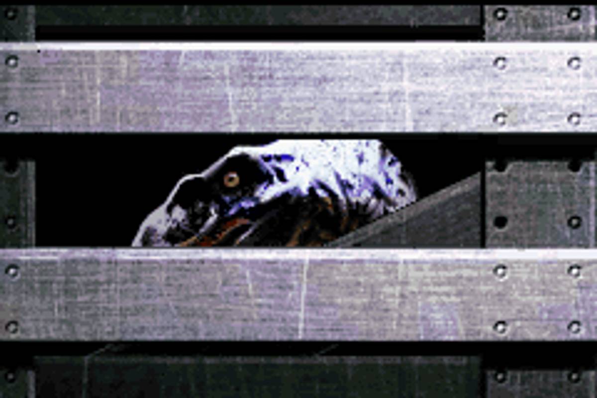 Jurassic Park Institute Tour: Dinosaur Rescue ROM - GBA screenshot 2