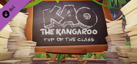 Kao the Kangaroo Top of the Class-I_KnoW screenshot 1