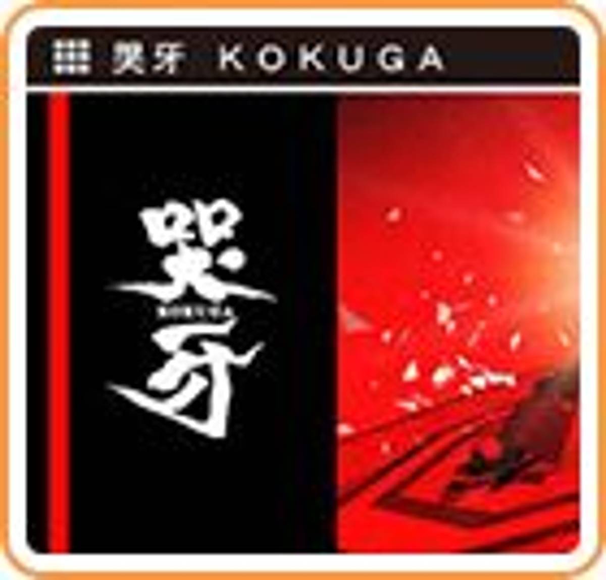 Download Torrent Kokuga ROM – 3DS