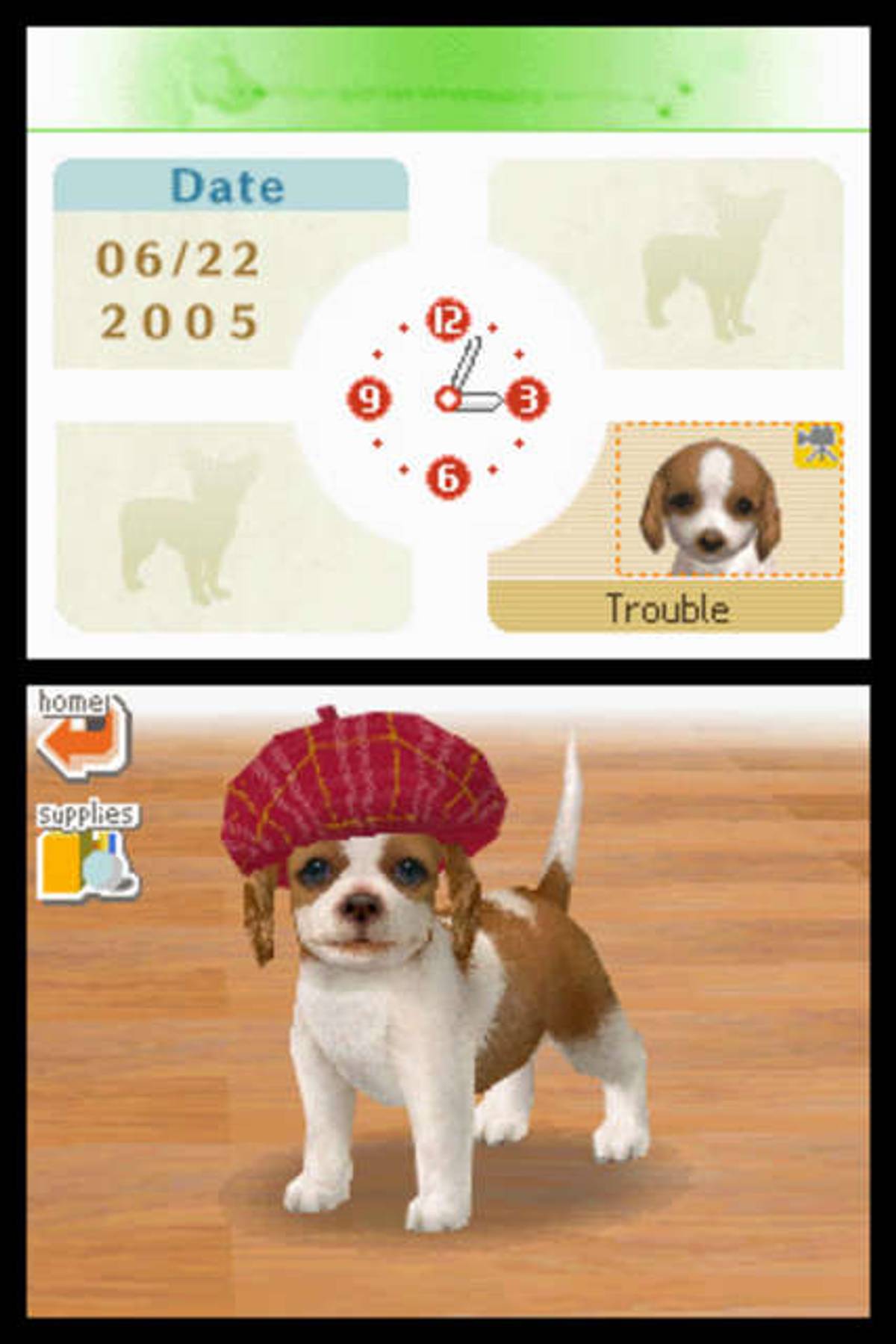 Nintendogs: Dalmatian & Friends ROM - NDS screenshot 1