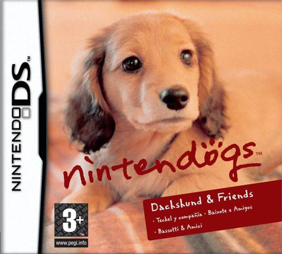Download Torrent Nintendogs: Dachshund & Friends ROM – NDS