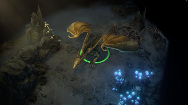 Pathfinder Wrath of the Righteous Enhanced Edition-FLT screenshot 2