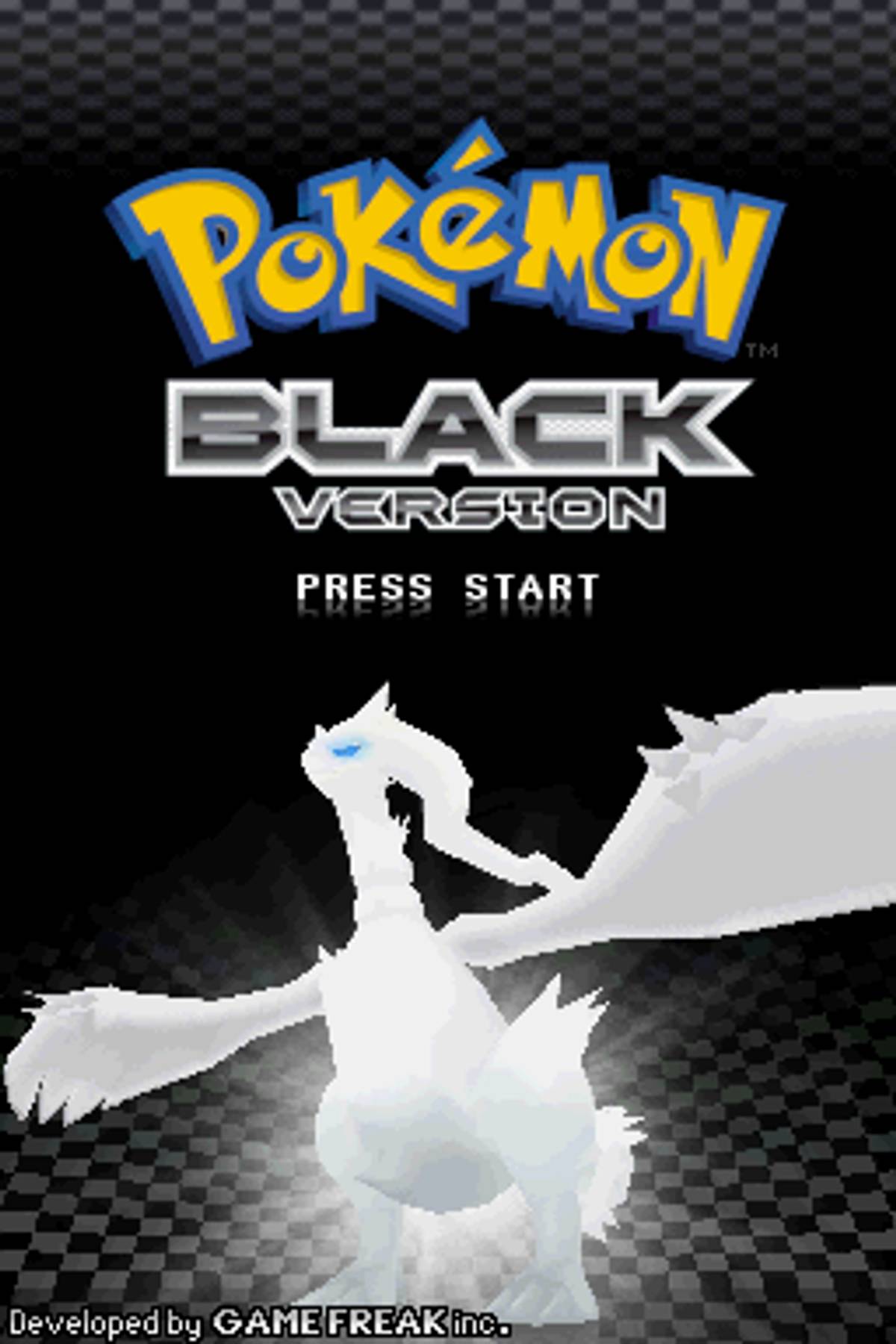 Pokémon Black Version ROM - NDS screenshot 1