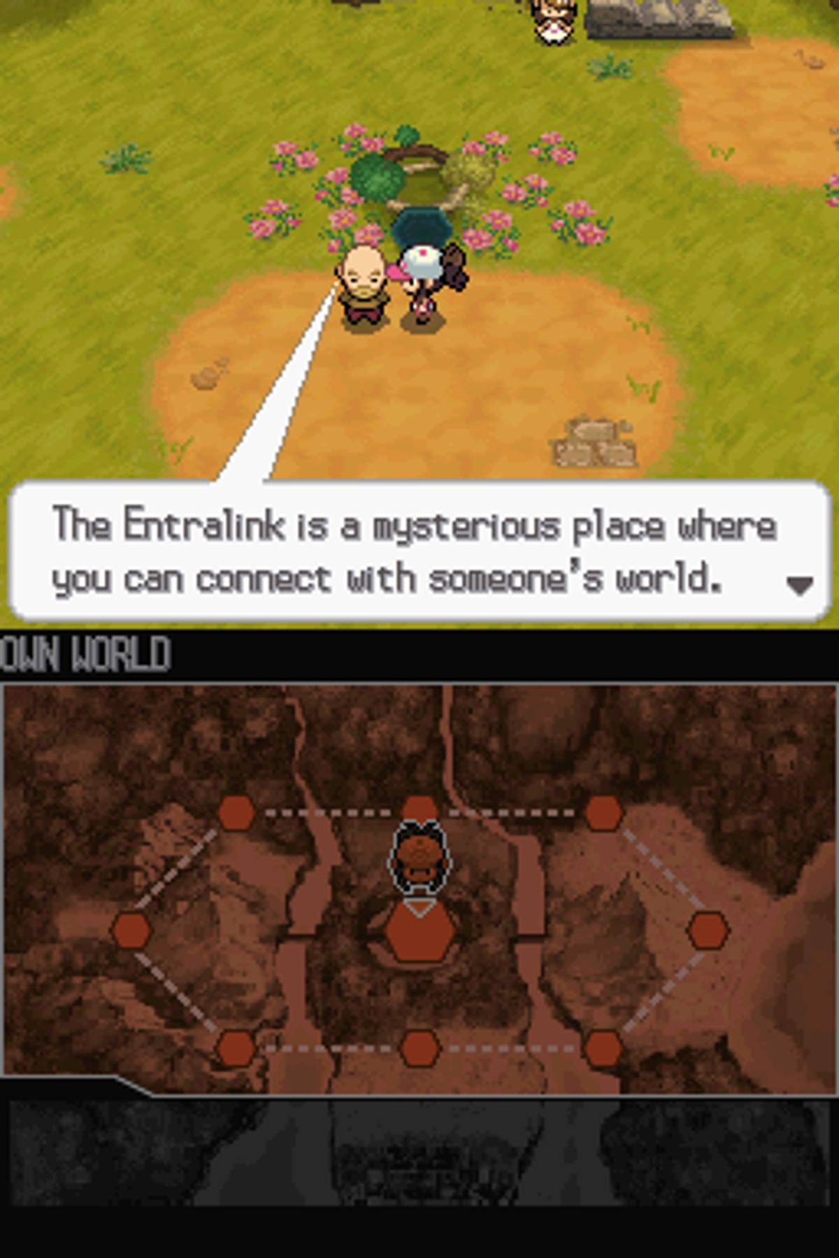 Pokémon Black Version ROM - NDS screenshot 10