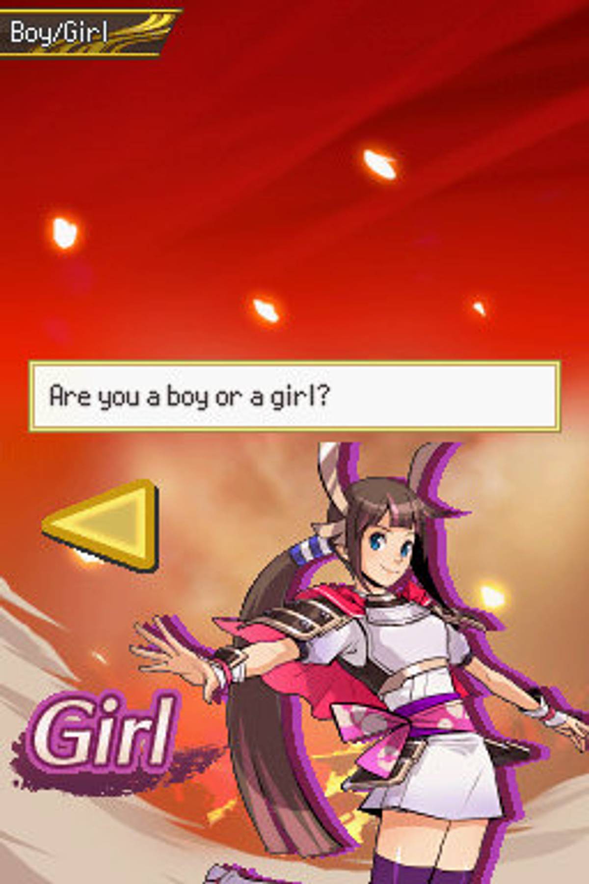 Pokémon Conquest ROM - NDS screenshot 3
