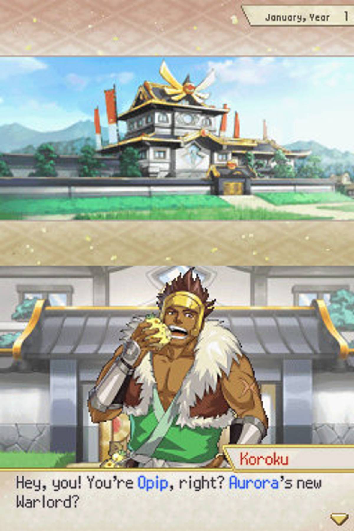 Pokémon Conquest ROM - NDS screenshot 4