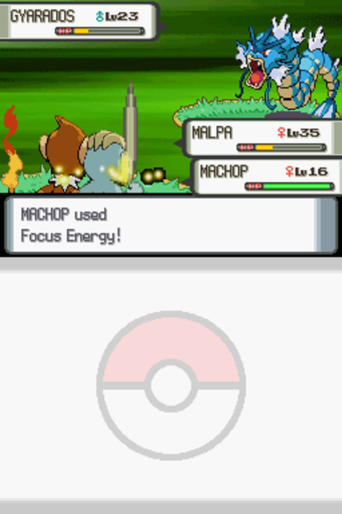 Pokémon Pearl Version ROM - NDS screenshot 7