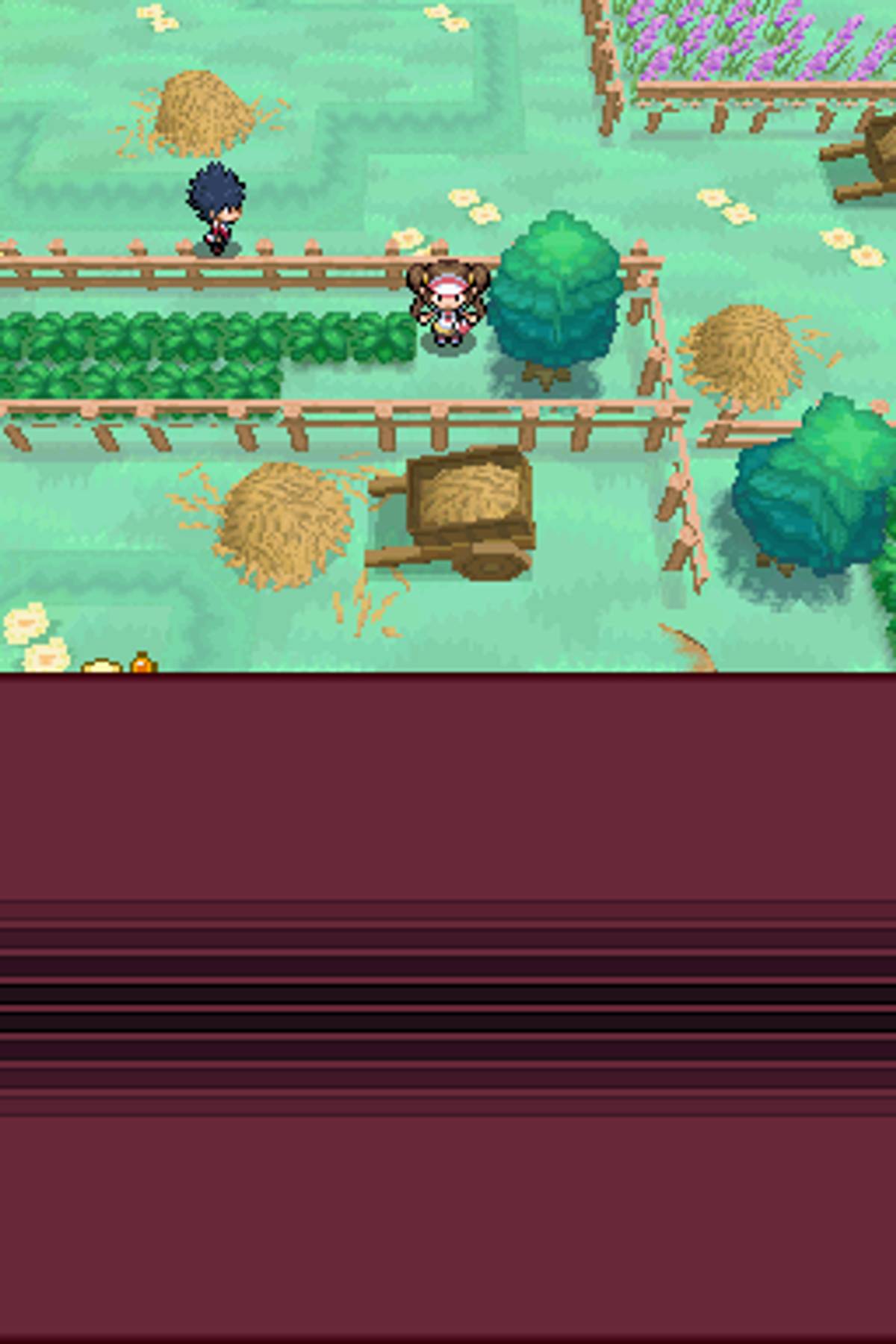 Pokémon White Version 2 ROM - NDS screenshot 7