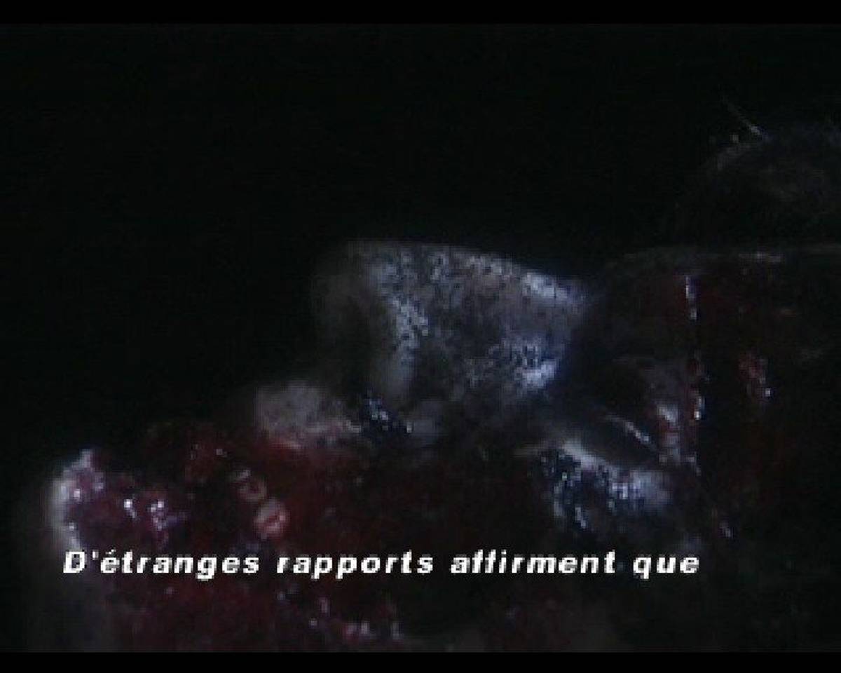 Resident Evil: Director's Cut ISO - PS1 screenshot 10