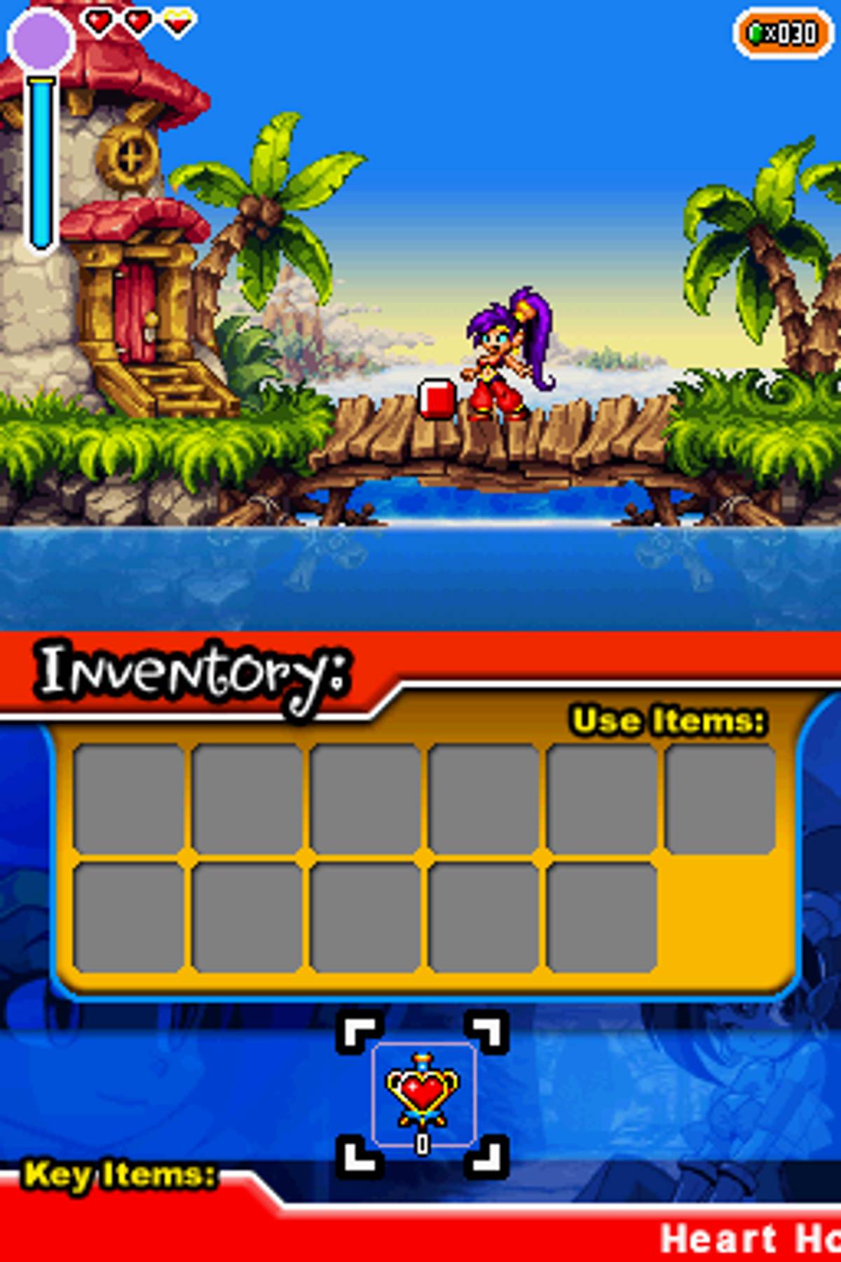 Shantae: Risky's Revenge ROM - NDS screenshot 5
