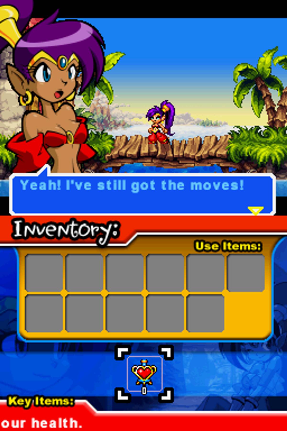 Shantae: Risky's Revenge ROM - NDS screenshot 6