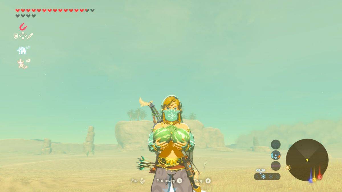 The Legend of Zelda: Breath of the Wild ROM - Nintendo Switch screenshot 10