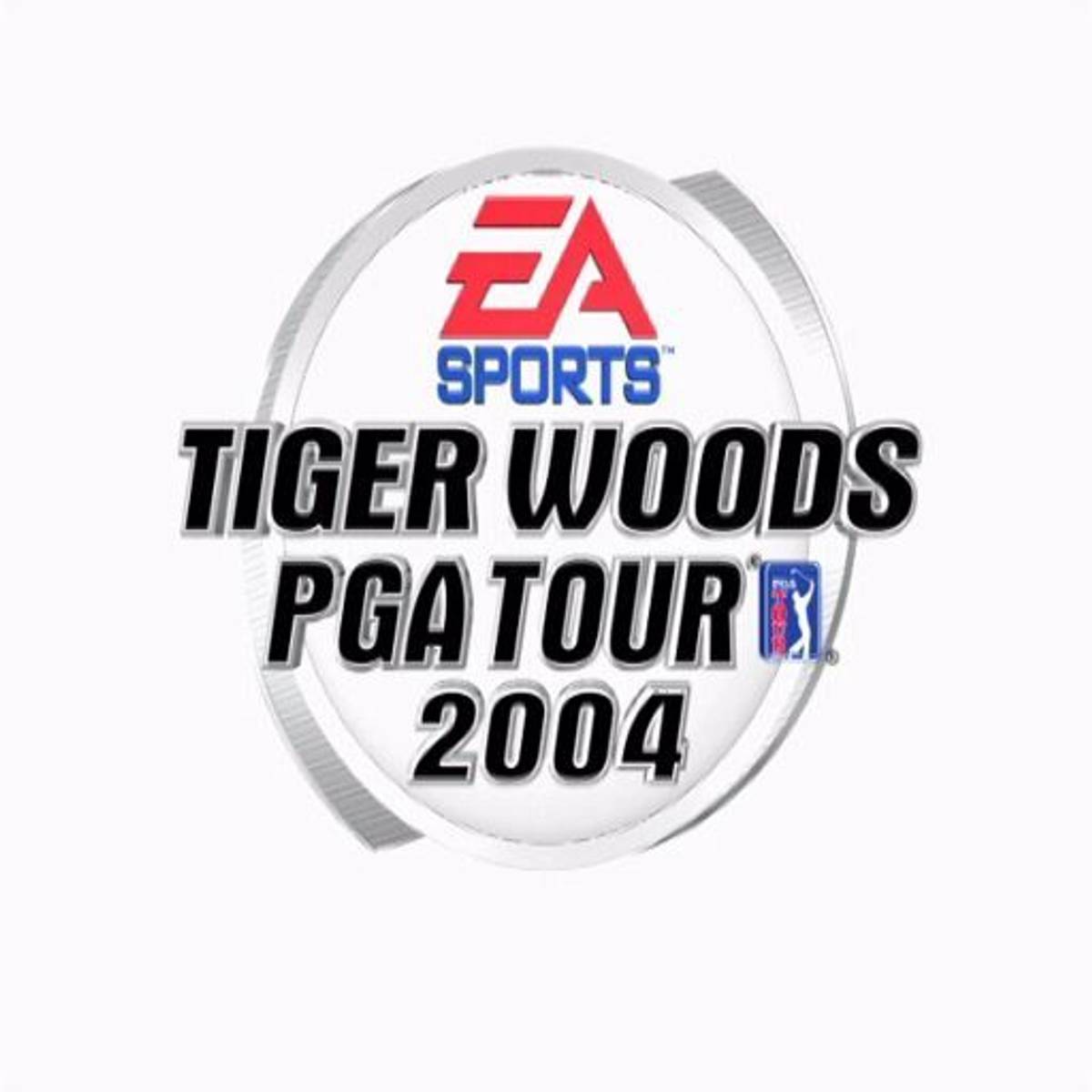 Tiger Woods PGA Tour 2004 ISO - PS2 screenshot 1