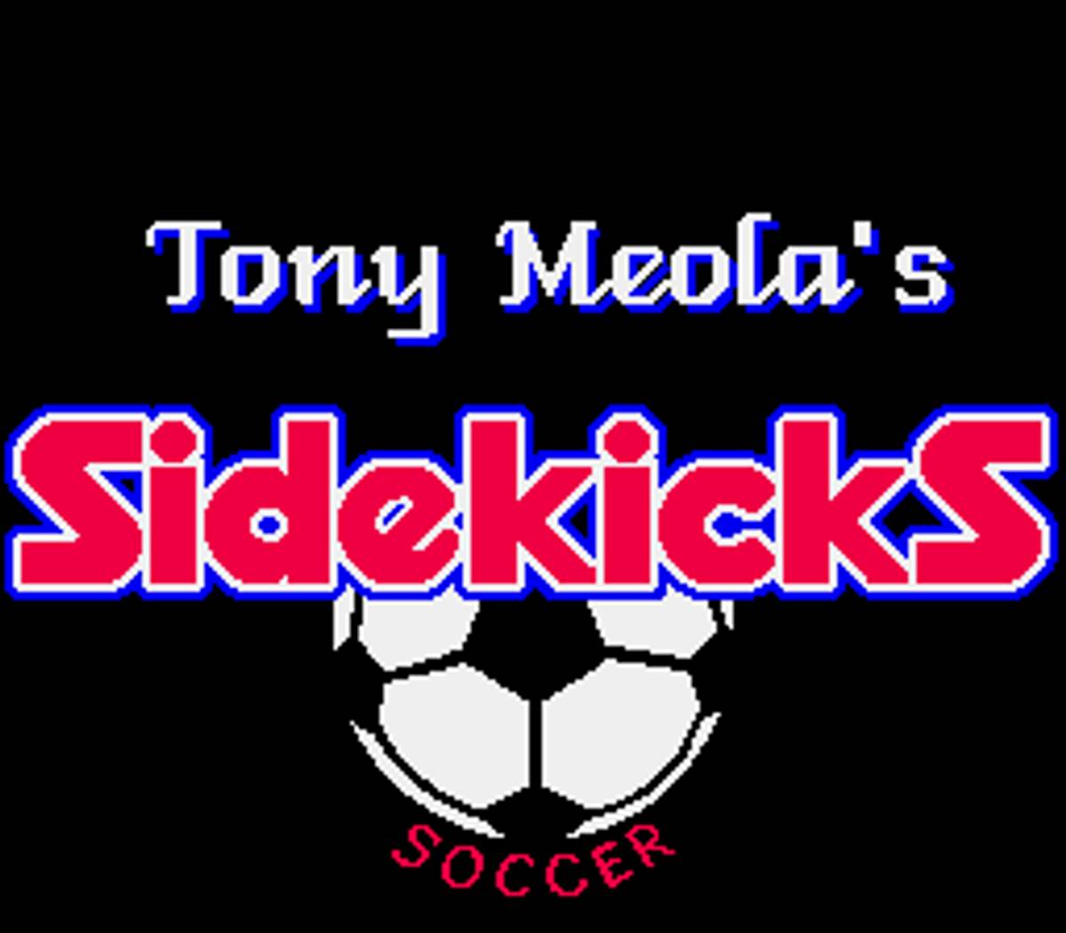 Tony Meola's Sidekicks Soccer ROM - SNES screenshot 1