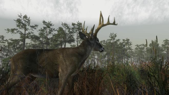 Deer Hunting Camp screenshot 1