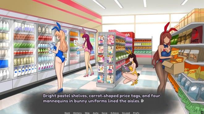 Are There Bunny Girls in the Corner Store? screenshot 1
