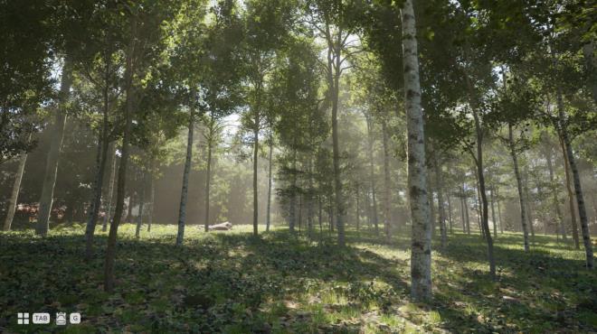 Arcadian Days screenshot 2