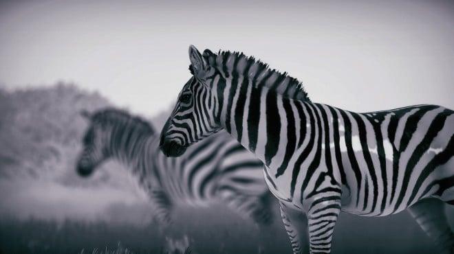 Seclusa (v1.0.3c) screenshot 2