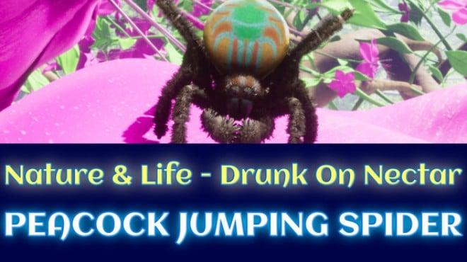 Nature And Life Drunk On Nectar Peacock Jumping Spider-TENOKE Download Torrent [PC GAME]