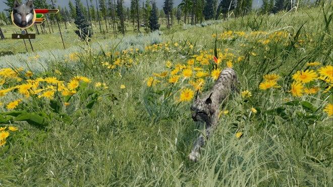 WolfQuest Anniversary Edition Tower Fall Update v3 0 1d-RUNE screenshot 1