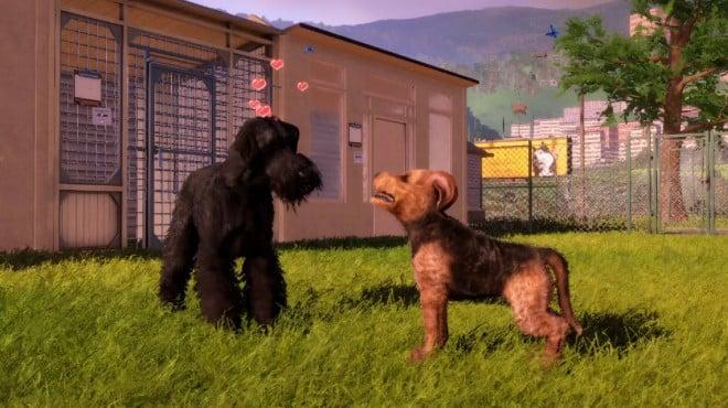 Animal Shelter 2 Hunting Dogs Pack-RUNE screenshot 1