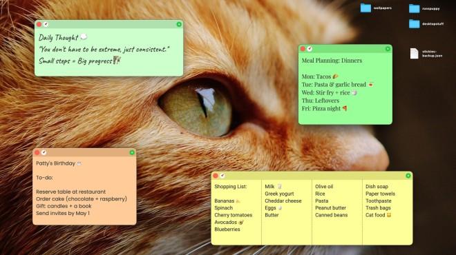 Plain Text Sticky Notes screenshot 2