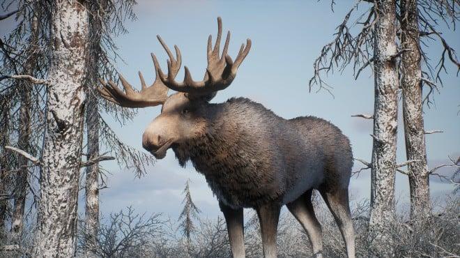 PROJECT HUNT MANCHURIAN TAIGA-TENOKE screenshot 2