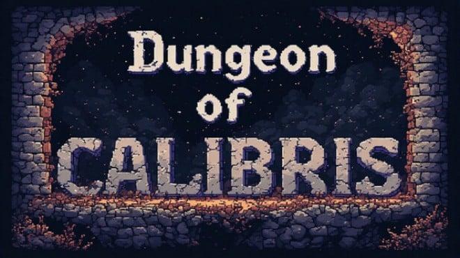 Dungeon of Calibris: Demon Orb Download Torrent [PC GAME]